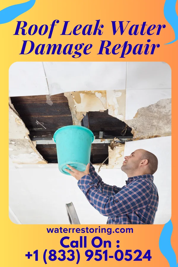 Roof Leak Water Damage Repair in Hoopeston, IL