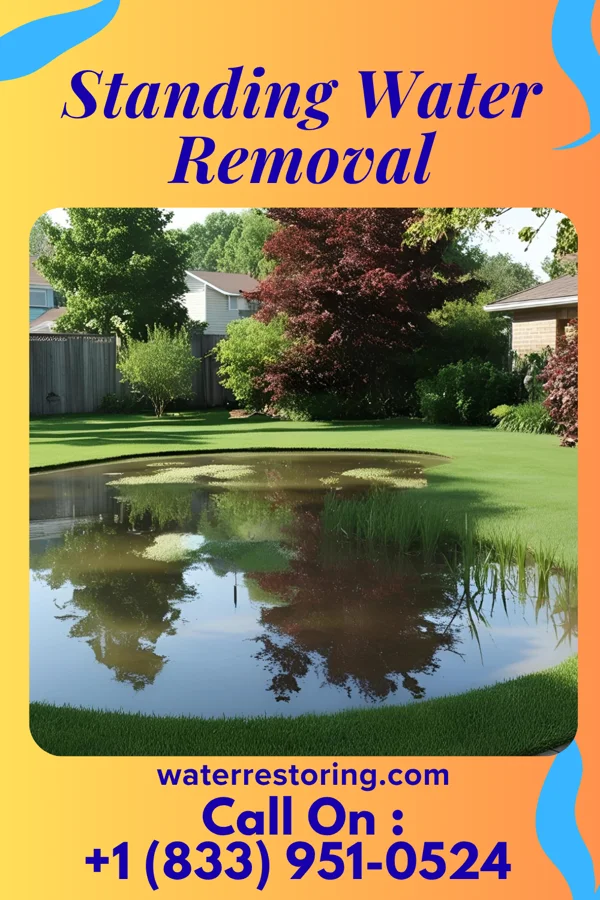 Standing Water Removal in Hoopeston, IL